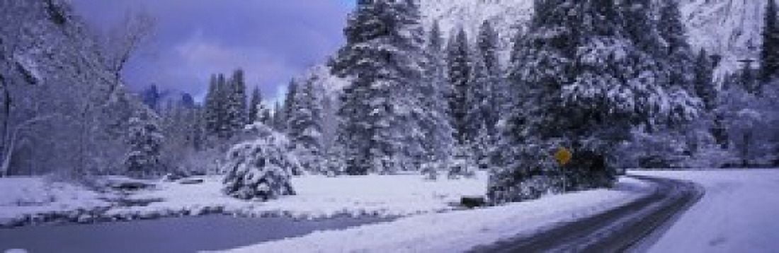 Winter Road Yosemite Park California USA Canvas Art - Panoramic Images (18 x 6)