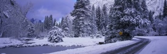 Winter Road Yosemite Park California USA Canvas Art - Panoramic Images (36 x 12)