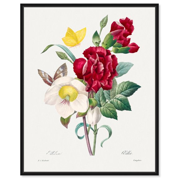 Winter Rose and Carnation Canvas Vintage Botanical by Art Remedy, Black Frame, 16 x 20
