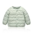 thumbnail image 1 of Kukoosong Toddler Boys' Girls' Puffer Jackets Zip Up Hoodless Baby Winter Clothes Long Sleeve Solid Color Lightweight Winter Coats for 4 Years, 1 of 5