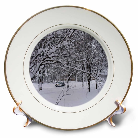 3dRose, Winter Scene , 8 inch Porcelain Plate