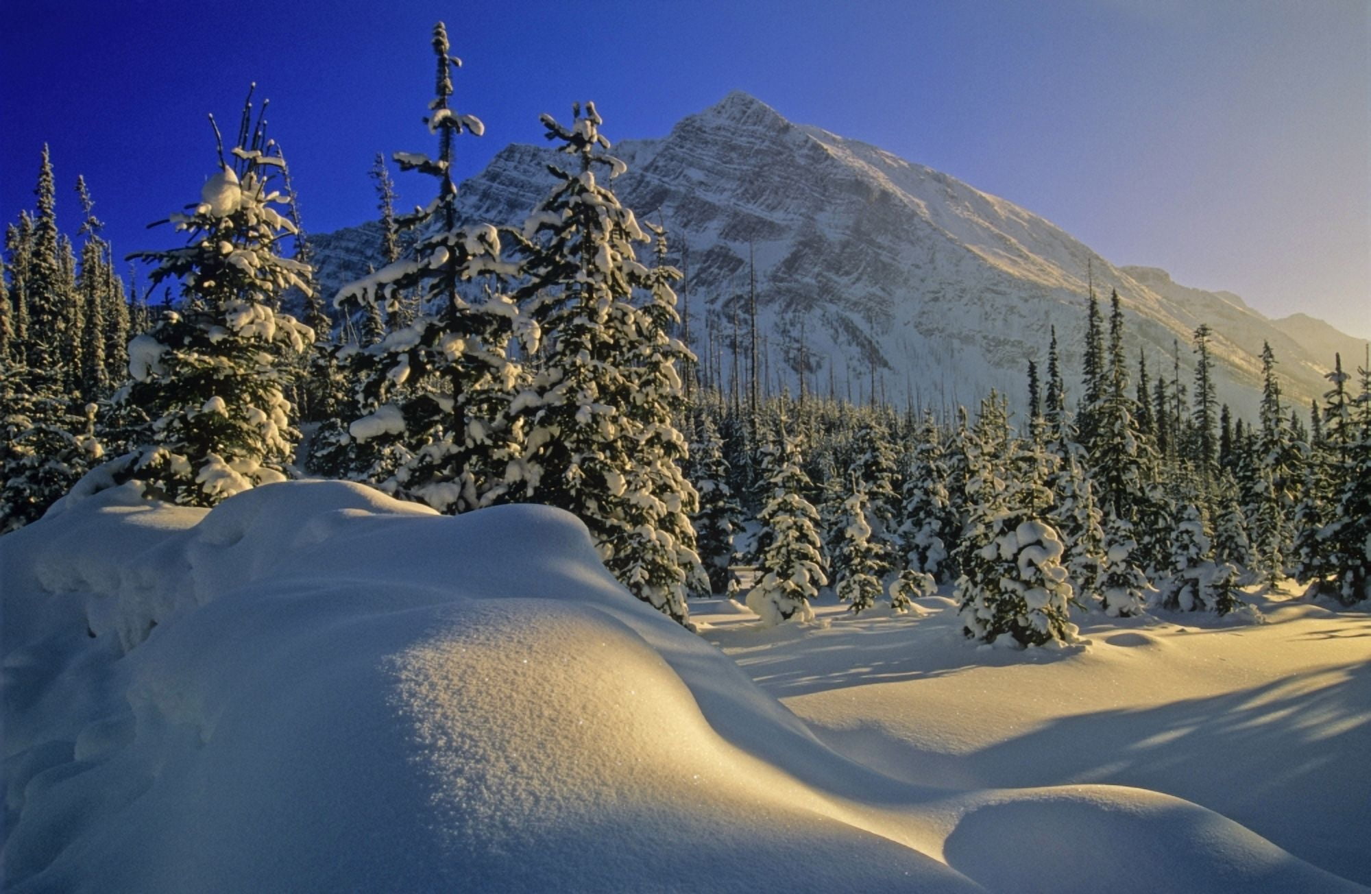 Winter Scene Boom Lake Banff National Park Alberta Canvas Art - Mike Grandmaison Design Pics (36 x 22)