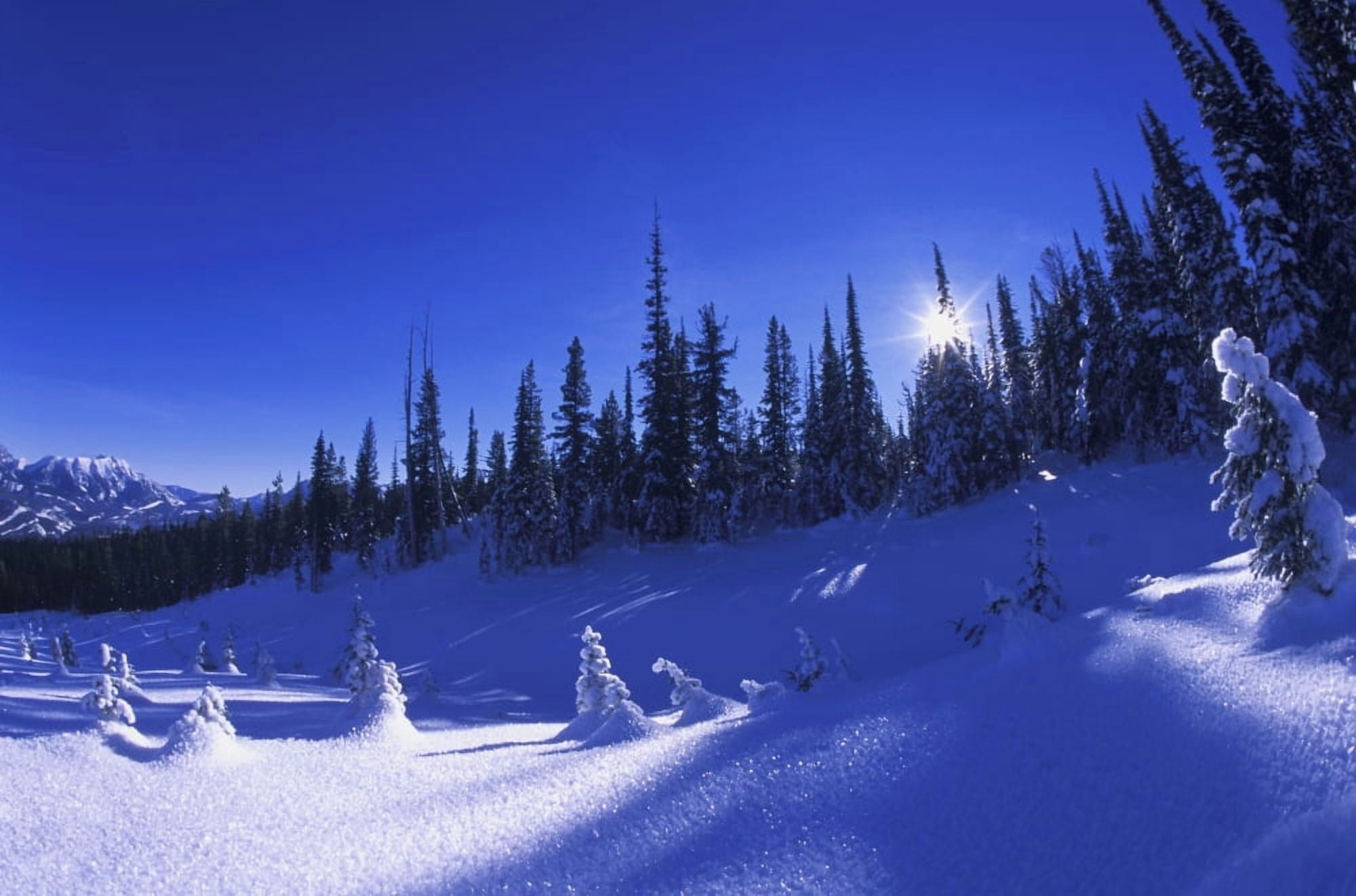Winter Scene Canvas Art - Carson Ganci  Design Pics (34 x 22)