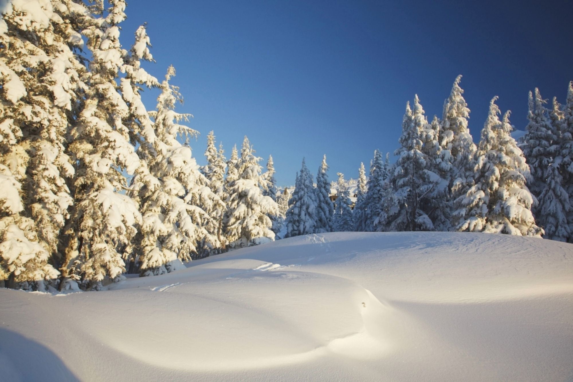 Winter Scene Mount Hood Oregon Cascades Oregon Usa Canvas Art - Craig Tuttle Design Pics (19 x 12)