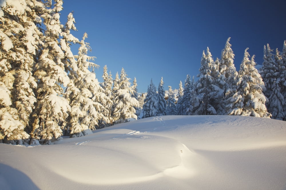 Winter Scene Mount Hood Oregon Cascades Oregon Usa Canvas Art - Craig Tuttle Design Pics (38 x 24)
