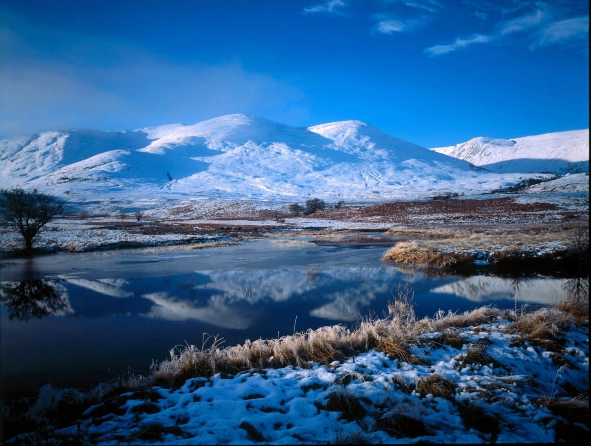 Winter Scene Strathmashie Highlands Scotland Canvas Art - Panoramic Images (28 x 22)