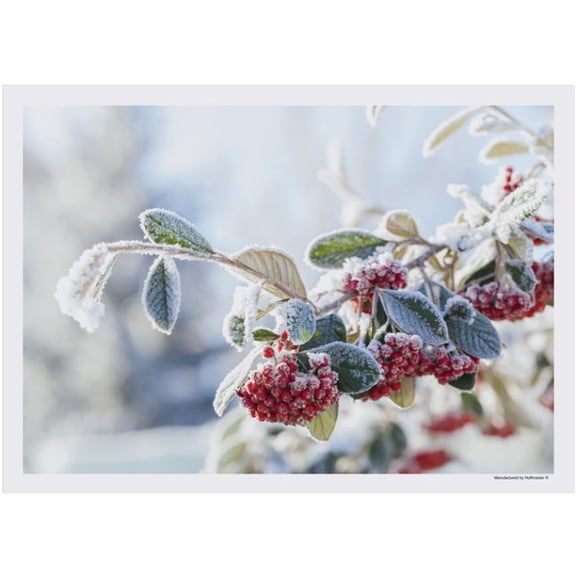 Winter Scene's Berries Paper Placemats 50 Per Pack