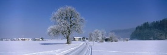 Winter Scenic Austria Canvas Art - Panoramic Images (36 x 12)