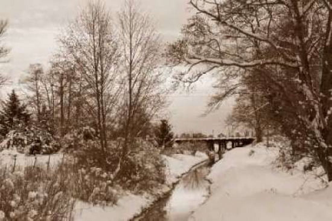 Winter Scenic I Canvas Art - Dana Styber (24 x 36)
