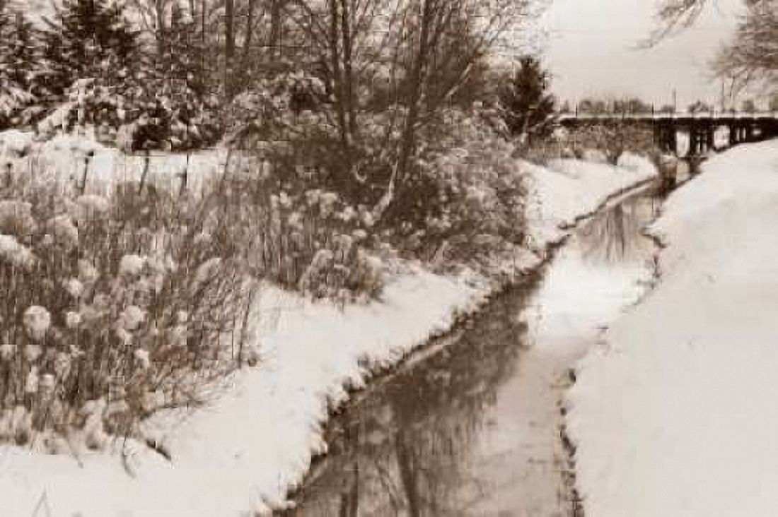 Winter Scenic II Canvas Art - Dana Styber (24 x 36)