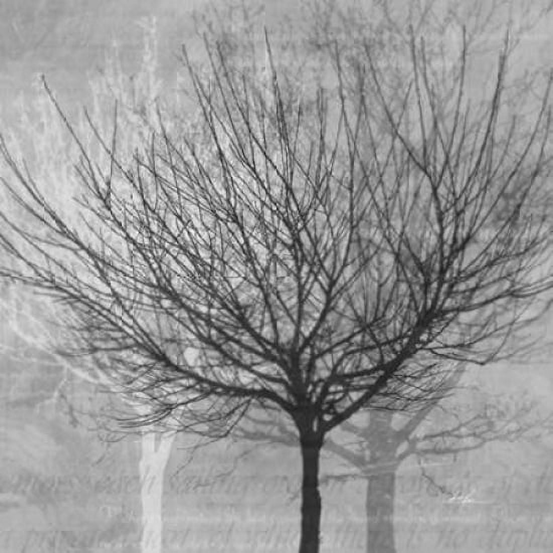 Winter Silhouette 1 Canvas Art - Ken Roko (24 x 24)