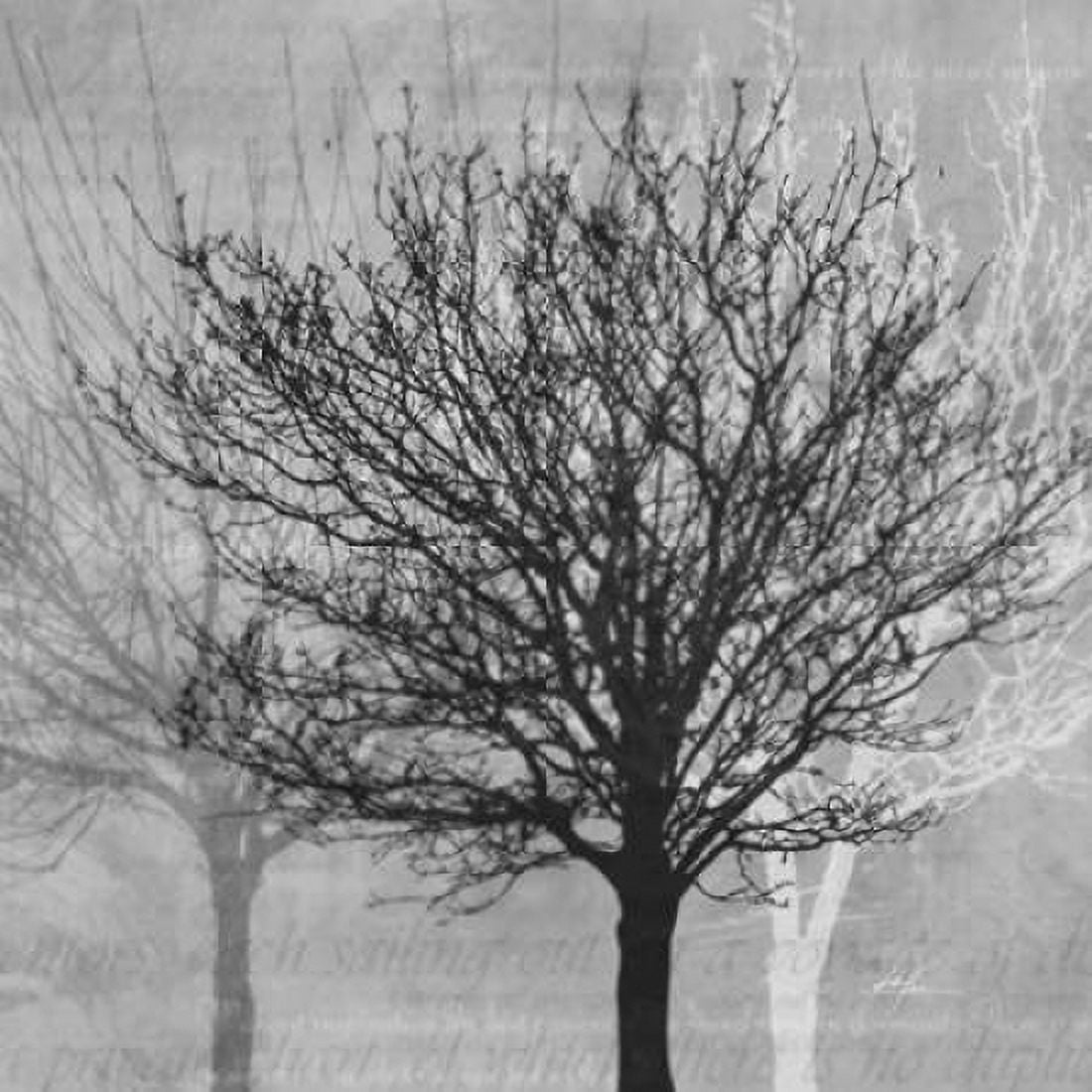 Winter Silhouette 2 Canvas Art - Ken Roko (24 x 24)