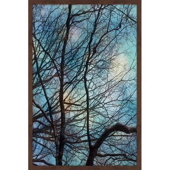 "Winter Sky" Framed Painting Print