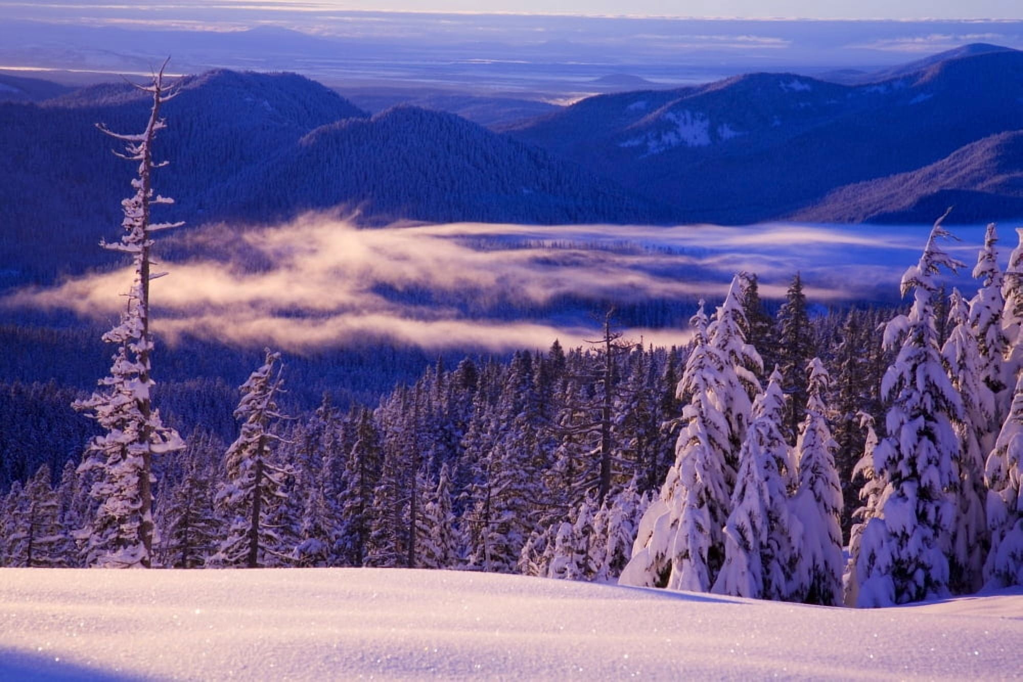 Winter Snow Cascade Range Oregon Usa Canvas Art - Craig Tuttle Design Pics (40 x 26)