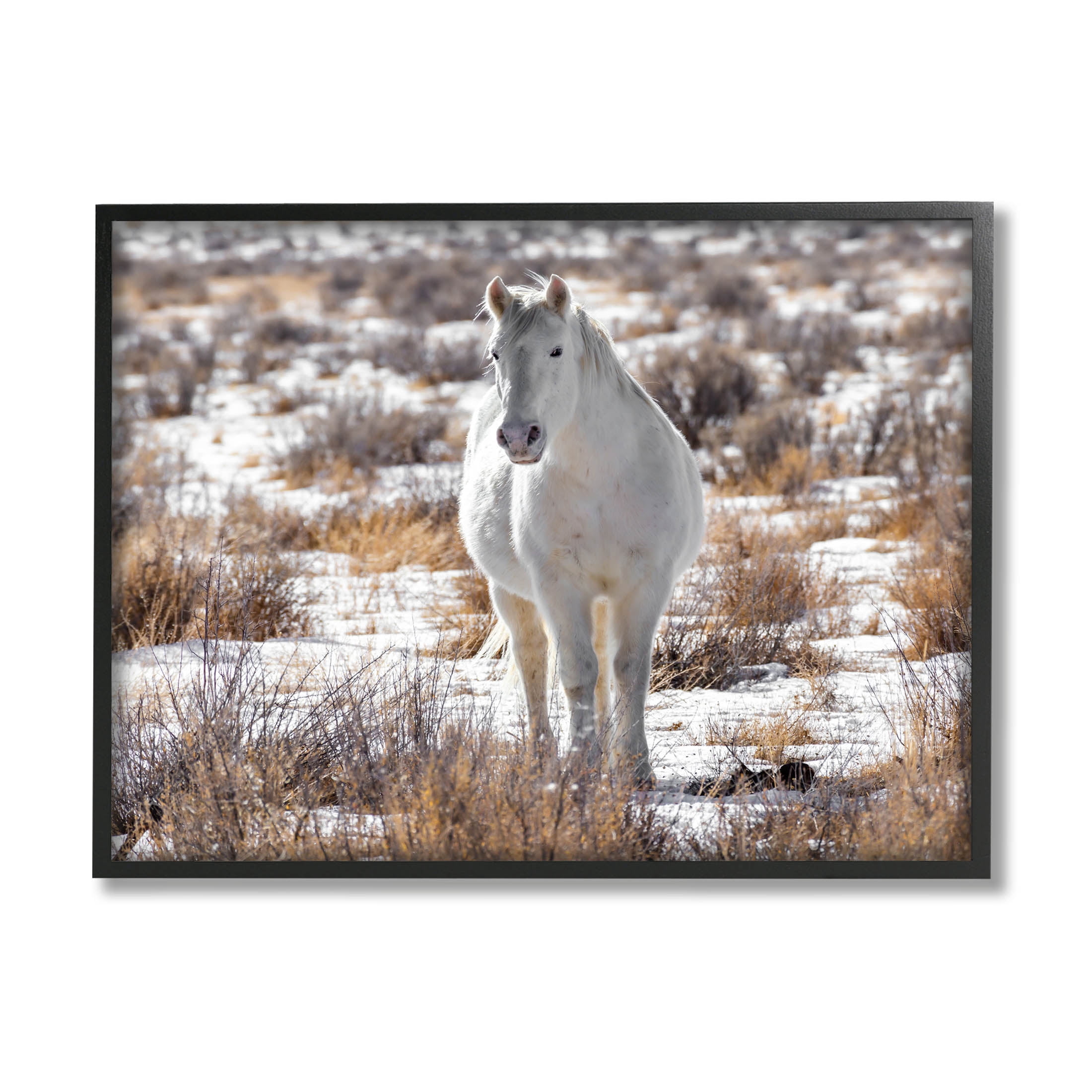 Winter Snow Horse Wildlife Animals & Insects Photograph Black Framed Art Print Wall Art
