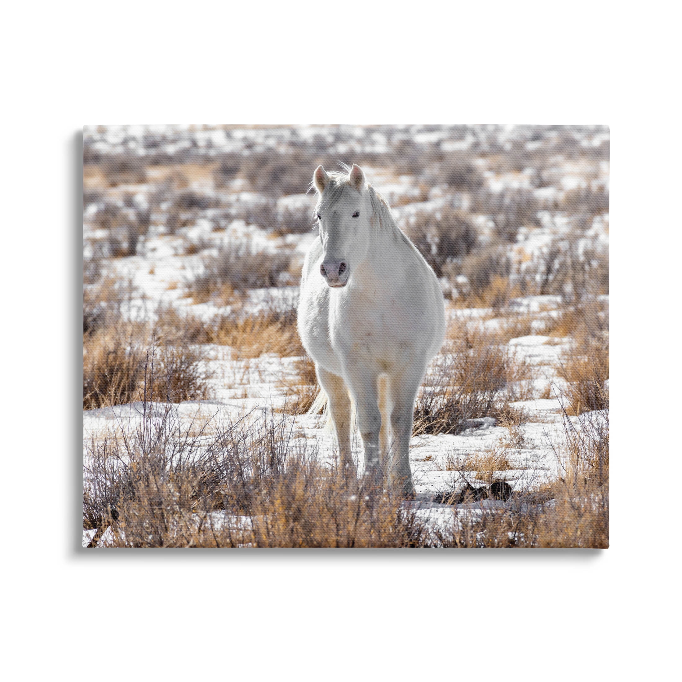 Winter Snow Horse Wildlife Animals & Insects Photograph Gallery Wrapped Canvas Print Wall Art