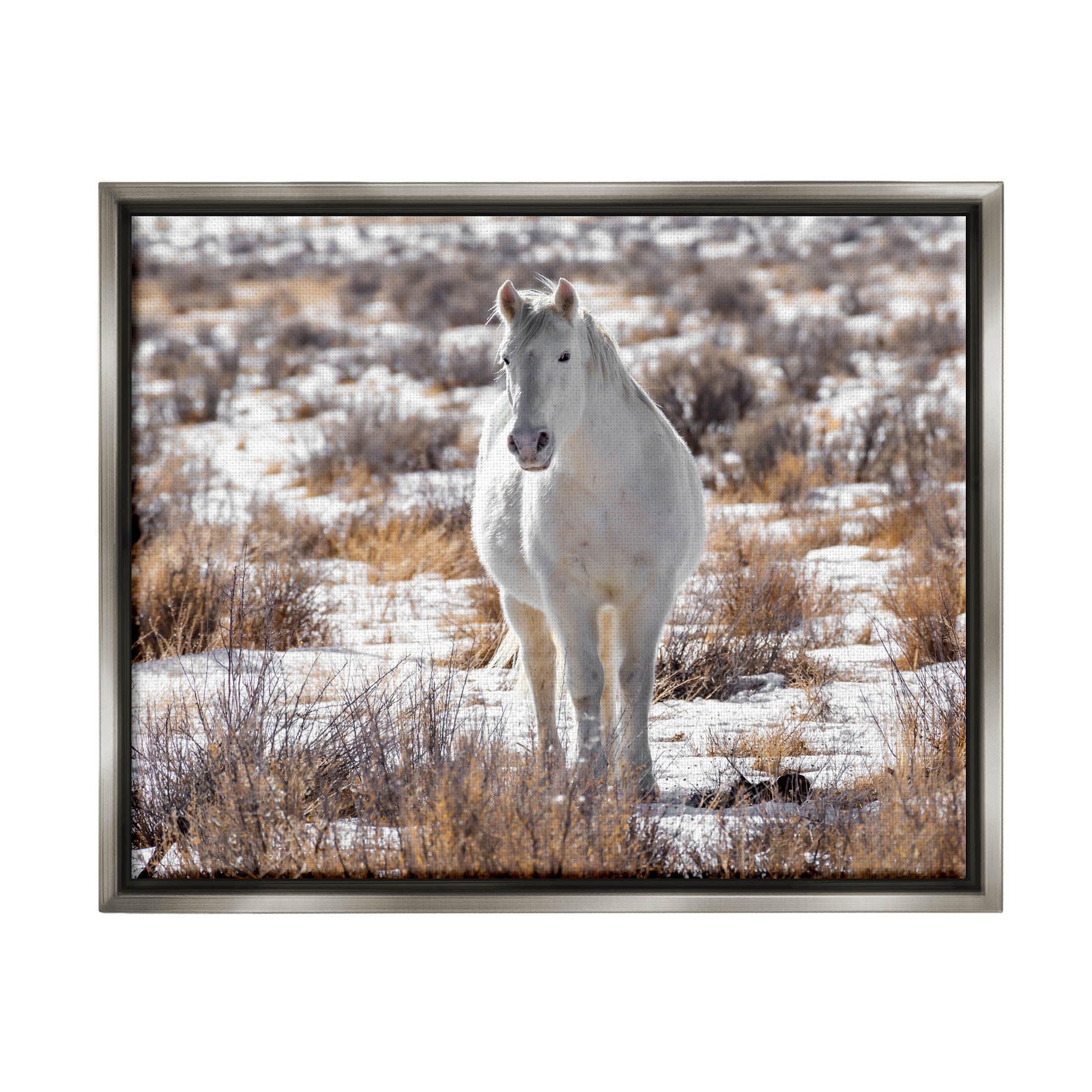 Winter Snow Horse Wildlife Animals & Insects Photograph Luster Gray Framed Art Print Wall Art