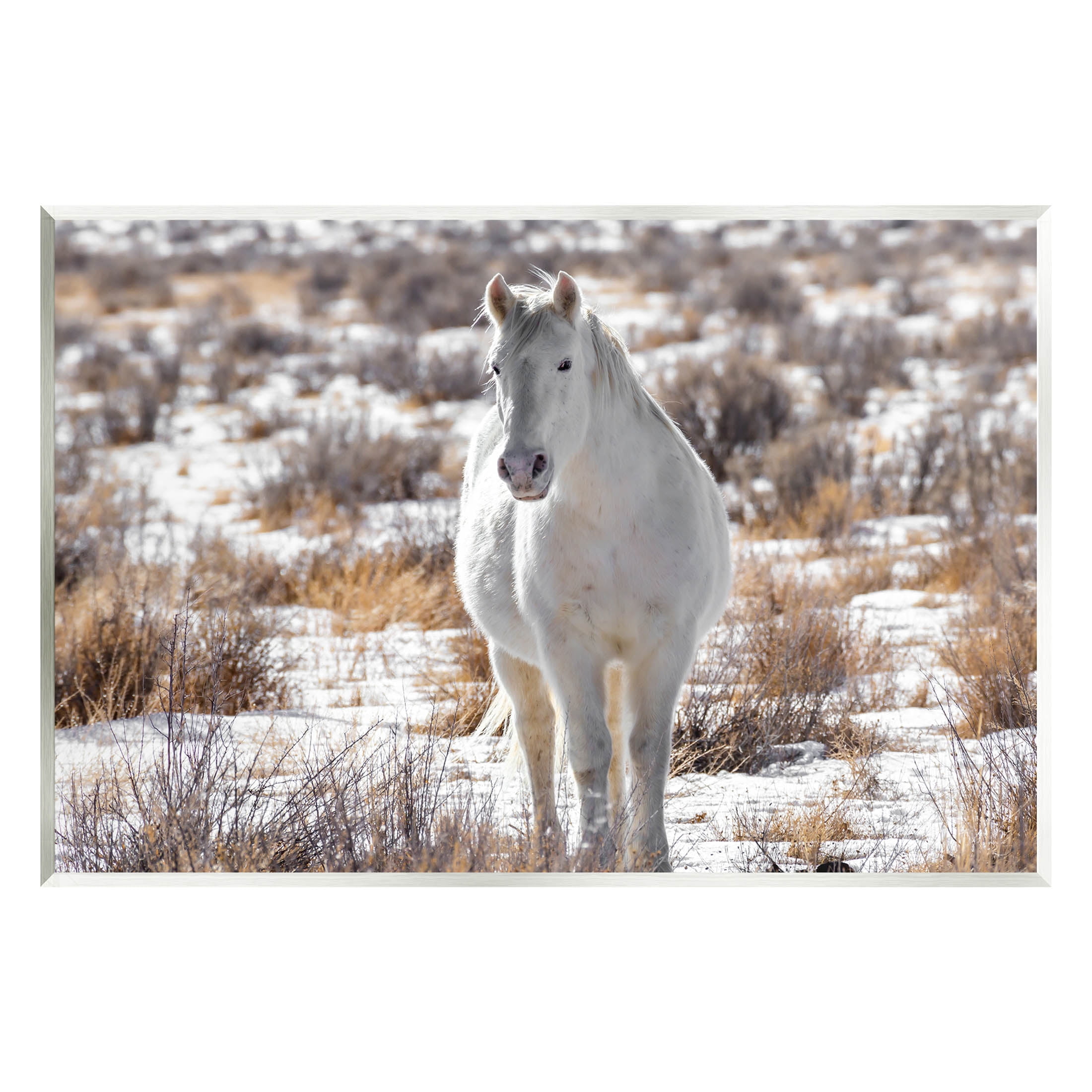 Winter Snow Horse Wildlife Animals & Insects Photograph Unframed Art Print Wall Art