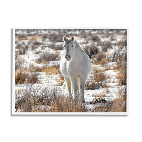 Winter Snow Horse Wildlife Animals & Insects Photograph White Framed Art Print Wall Art