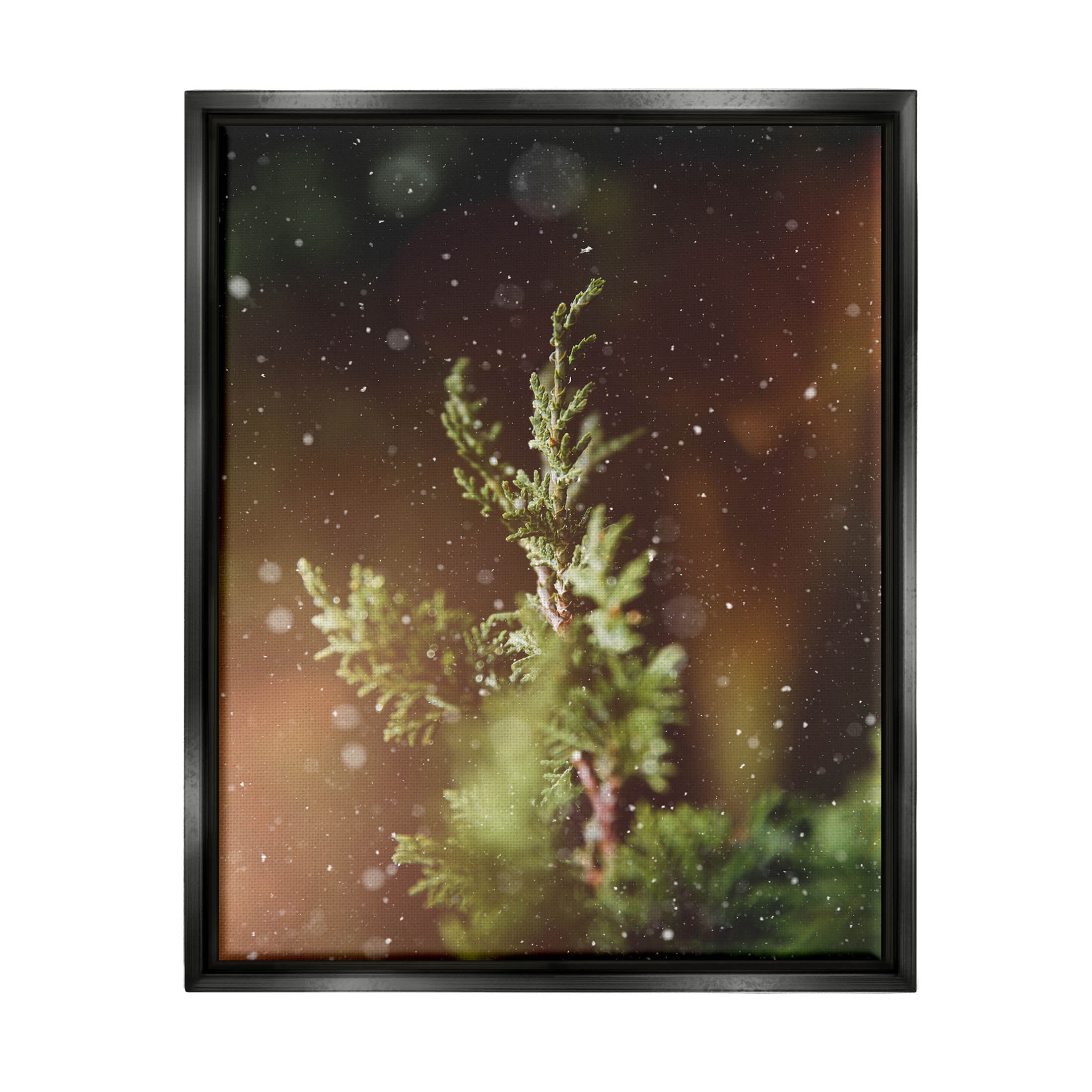 Winter Snowfall Night Pine Tree Holiday Photograph Jet Black Framed Art Print Wall Art