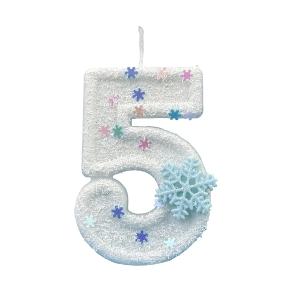 Winter Snowflake Themed Birthday Number Safe For Girls Party Decorations