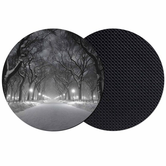 Winter Snowscape Coasters Set of 2, Absorbent Coasters for Drinks, Night Snow Landscape Trees Natural Coaster for Desk Coffee Table Protection, Home Decor House Warming Gifts 4"