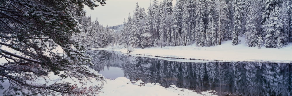 Winter Snowstorm in the Lake Tahoe Area California Canvas Art - Panoramic Images (27 x 9)