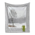 thumbnail image 1 of Winter Soft Flannel Fleece Blanket, Green Teacup on Windowsill Forest Outdoors Snowstorm Scenic Countryside, Cozy Plush for Indoor and Outdoor Use, 70" x 90", Apple Green Beige White, by Ambesonne, 1 of 6