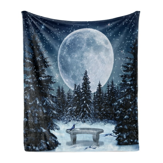 Winter Soft Flannel Fleece Throw Blanket, Dreamy Cold Night a Big Full Moon and Bench Park Stars in the Darkness, Cozy Plush for Indoor and Outdoor Use, 60" x 80", Blue White, by Ambesonne