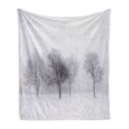 thumbnail image 1 of Winter Soft Flannel Fleece Throw Blanket, Foggy Misty Cold Scenery Leafless Tree Branch in Hazy Weather Print, Cozy Plush for Indoor and Outdoor Use, 70" x 90", Grey White, by Ambesonne, 1 of 5
