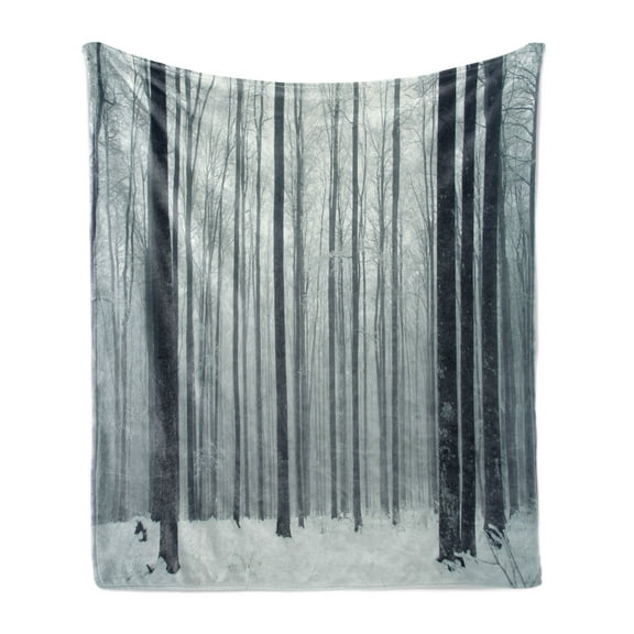 Winter Soft Flannel Fleece Throw Blanket, Foggy Mysterious Woodland Beech Trees Forest Peaceful Solitude Morning Scenery, Cozy Plush for Indoor and Outdoor Use, 50" x 70", Black White, by Ambesonne