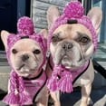 thumbnail image 1 of Winter Soft Knitted Dog Hat, Warm Acrylic Fabric Pet Hat With Ear Holes, Tassels & Pom-Pom, Windproof French Bulldog Hat For Small Medium Dogs Daily Walking Outdoor Gatherings, 1 of 9