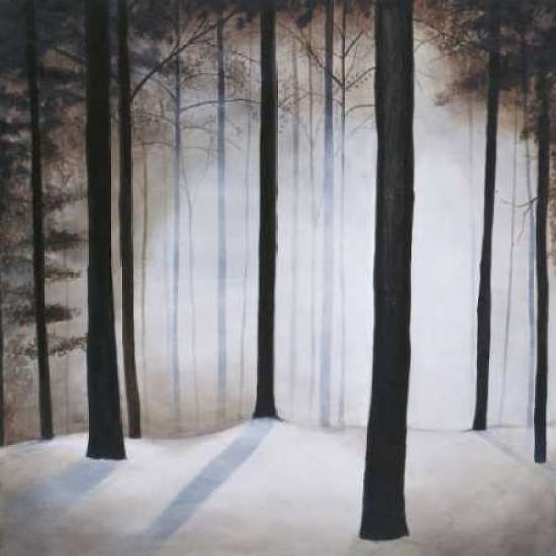 Winter Solace Canvas Art - Patrick StGermain (24 x 24)