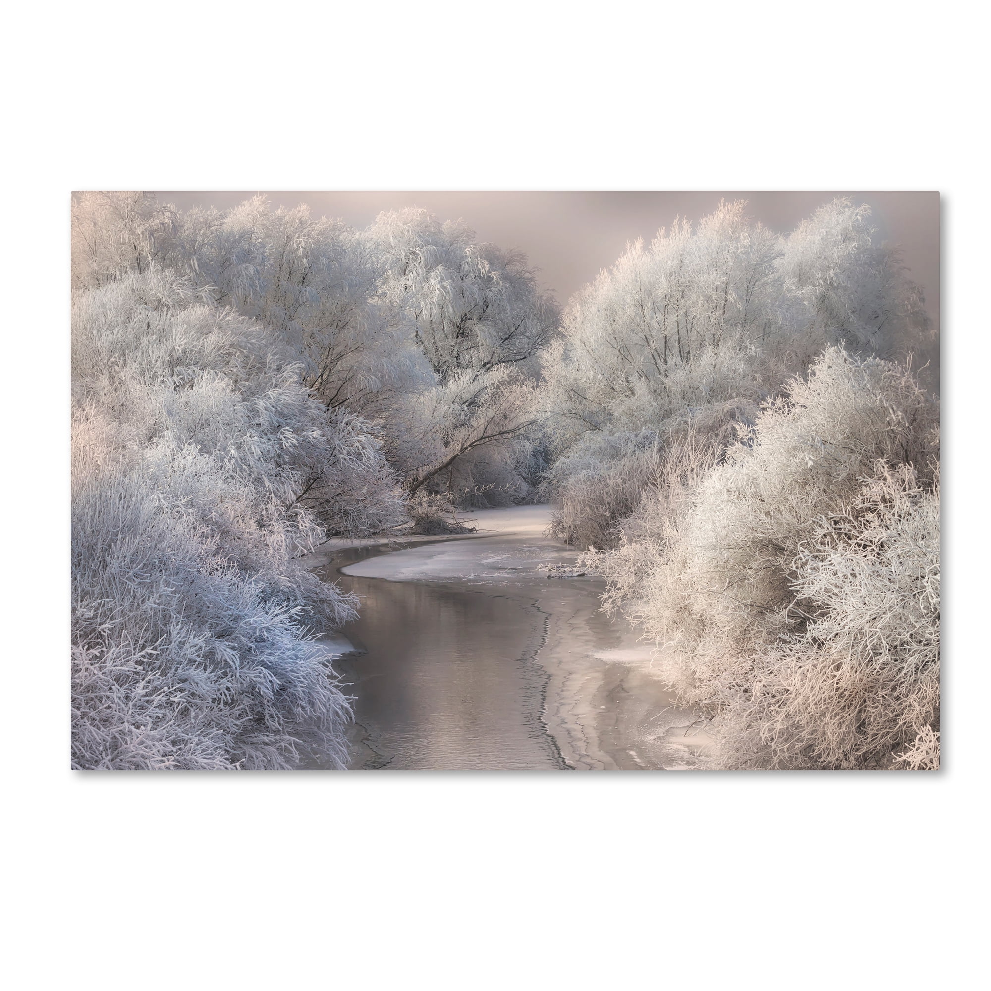Winter Song' Canvas Art by Sebestyen Bela