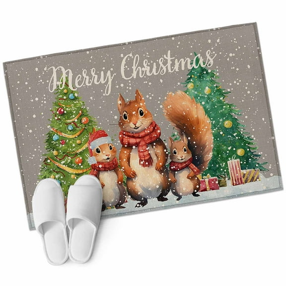 Winter Squirrel, Bathroom Mat 2x3 FT, Non Slip Small Kitchen Mat, Christmas Winter Snowflake Grey Washable Soft Backed Front Door Throw Rug Non-Shedding Indoor Outdoor Doormat for Entryway Sink