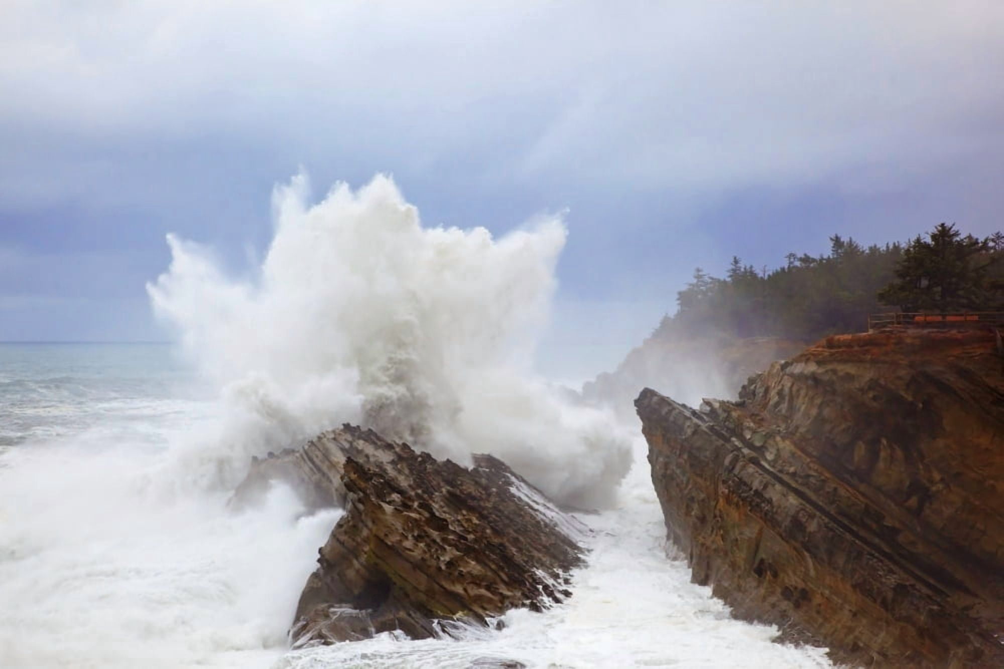 Winter Storm At Shore Acres State Park Along The Oregon Coast Oregon United States of America Canvas Art - Craig Tuttle Design Pics (38 x 24)