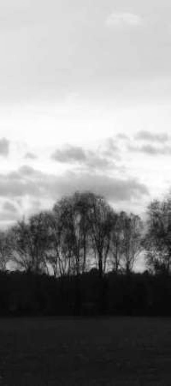 Winter Sunset BW III Canvas Art - Alan Hausenflock (10 x 20)