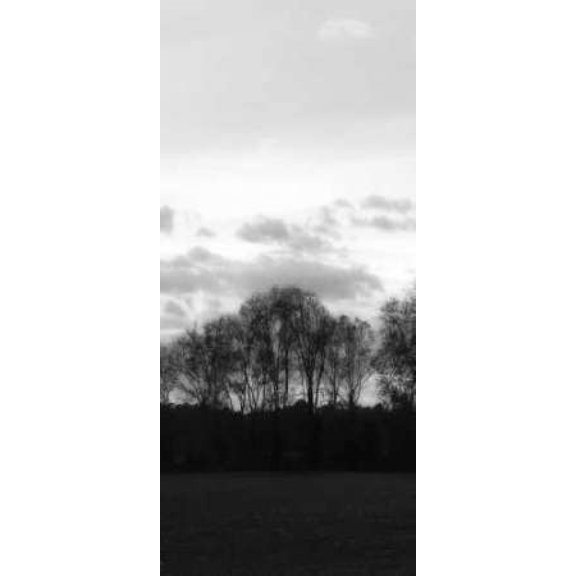 Winter Sunset BW III Canvas Art - Alan Hausenflock (10 x 20)