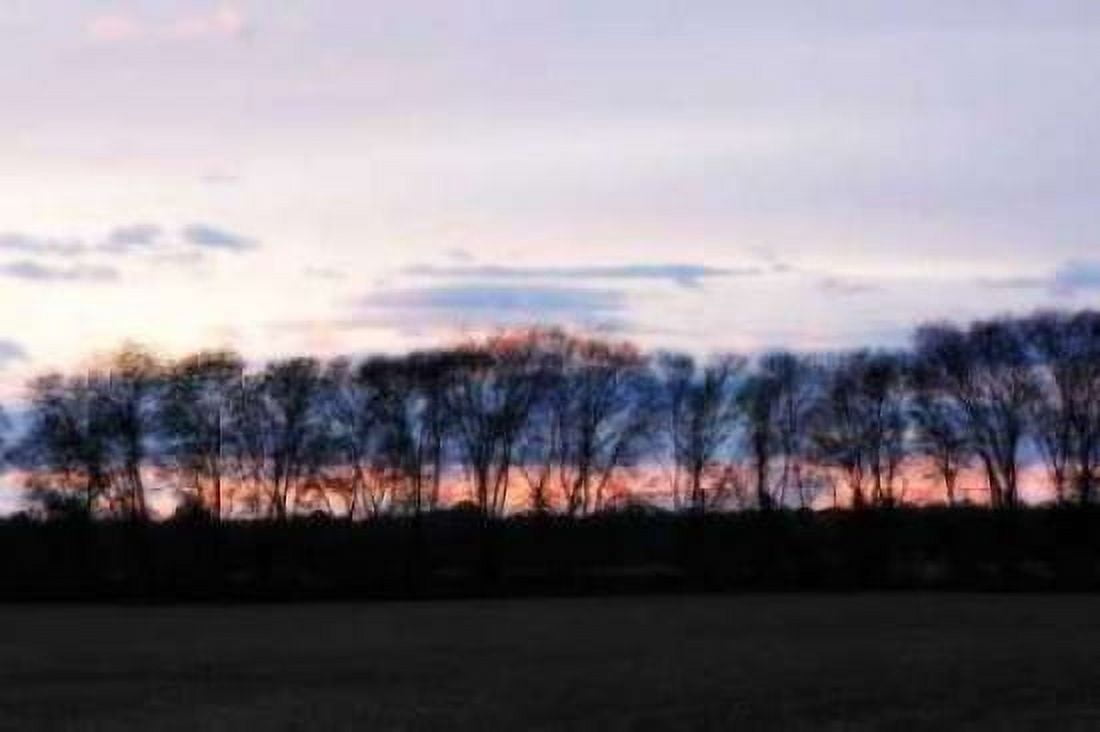 Winter Sunset II Canvas Art - Alan Hausenflock (24 x 36)
