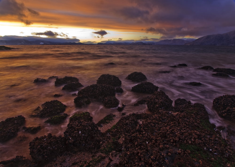 Winter Sunset View Of Zimovia Strait And Woronkofski Island Seen From Petroglyph Beach At Wrangell Island Alaska Canvas Art - Quentin Smith Design Pics (34 x 24)