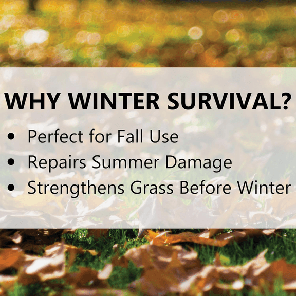 Jonathan Green Winter Survival Winterizer Fall Fertilizer - Single Pack  Outdoor & Indoor Plant Use, Easy Application