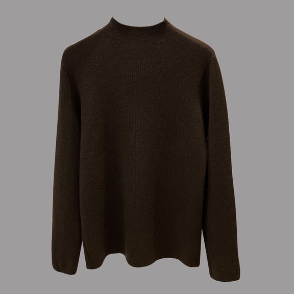 Winter Sweaters for Women Soft Thermal Pullover Sweater High Neck Winter Warm Lined Casual Fashion Tunic Blouse