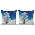 thumbnail image 1 of Ambesonne Winter Throw Pillow Cover 2 Pack, Lonely Tree Rural Land, 20", Blue White, 1 of 2