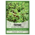 thumbnail image 1 of Winter Thyme Seeds, 1 of 7