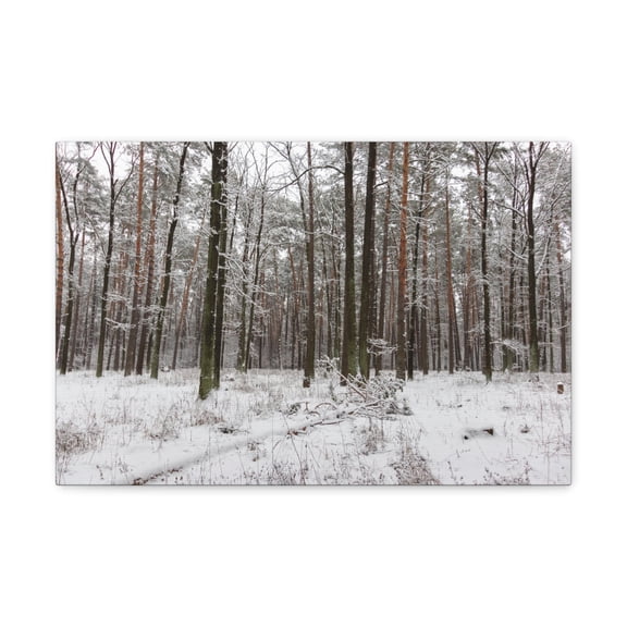 Winter Tree Covered In Snow Forest Nature Wilderness Photography Canvas Wall Art for Home Decor Ready-to-Hang