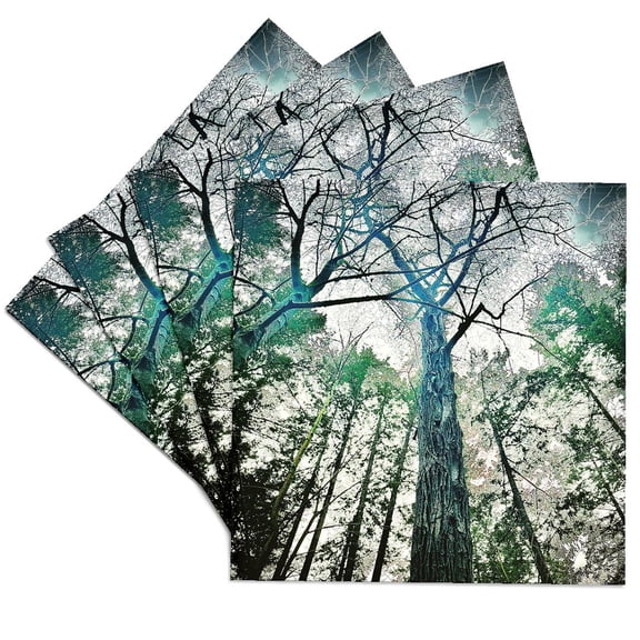 3drose, Winter Tree Dome Abstract Photo, Set of 4 Ceramic Tile Coasters