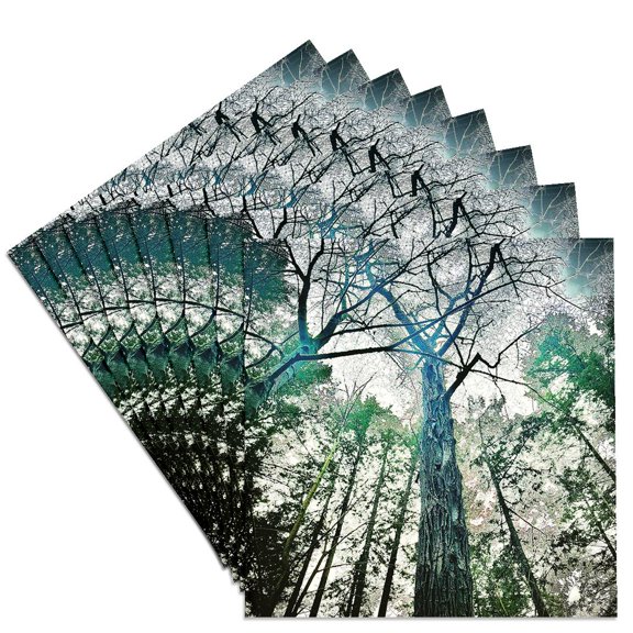 3drose, Winter Tree Dome Abstract Photo, Set of 8 Ceramic Tile Coasters