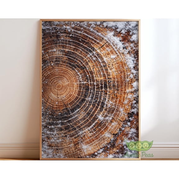 Winter Tree Ring Snowy Wood Grain Wall Art Print, Unframed Paper Poster 24x36in
