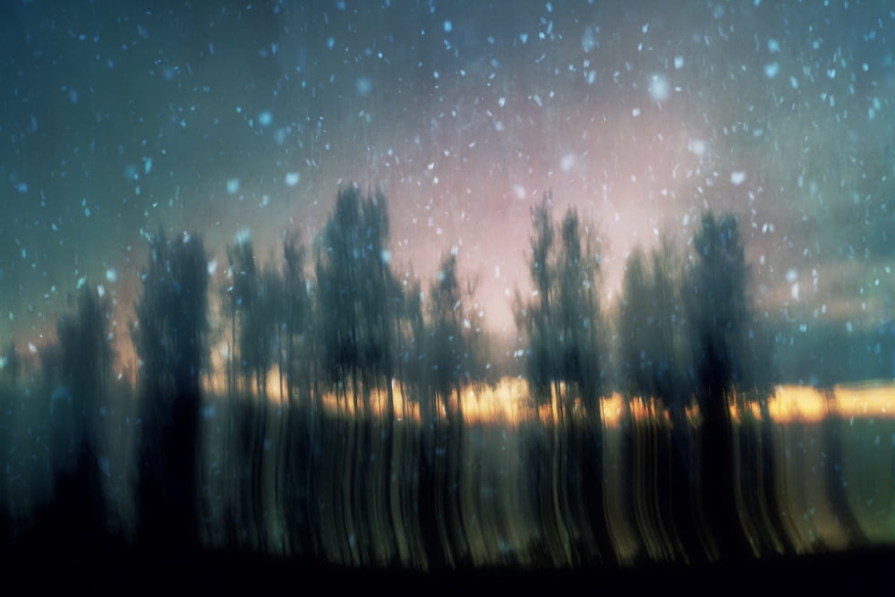 Winter Trees During An Evening Snowstorm Canvas Art - Roberta Murray Design Pics (17 x 11)