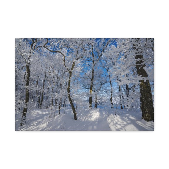 Winter Trees In The Countryside Bright Sun Backlight Canvas Wall Art for Home Decor Ready-to-Hang